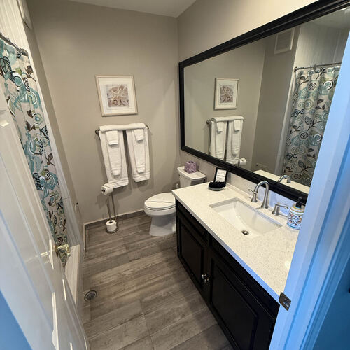 Guest Bathroom