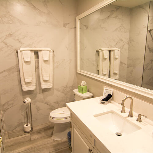Guest Bathroom